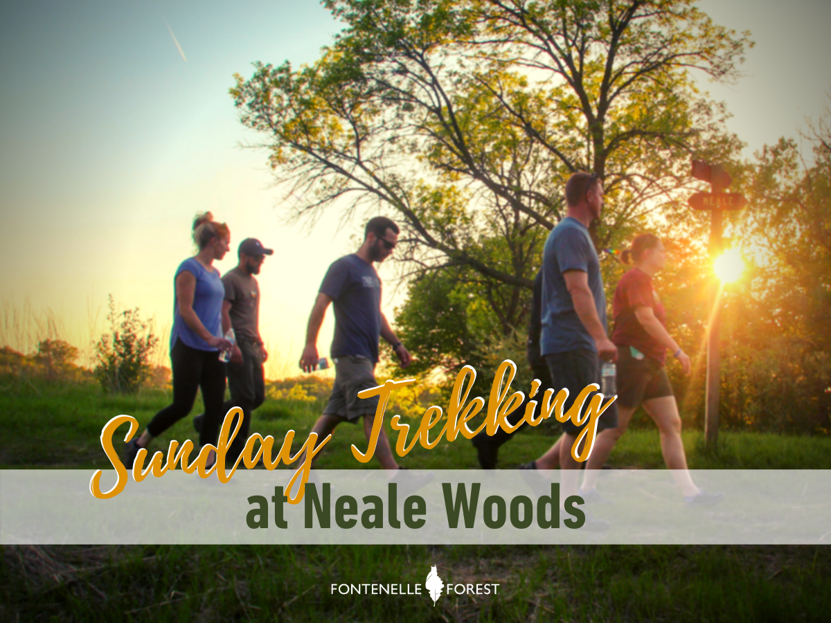 Picture of people walking outside with the text "Sunday Treckking" in yellow. It also has a white banner with the green text, "at Neale Woods" with the Fontenelle Forest logo in white.