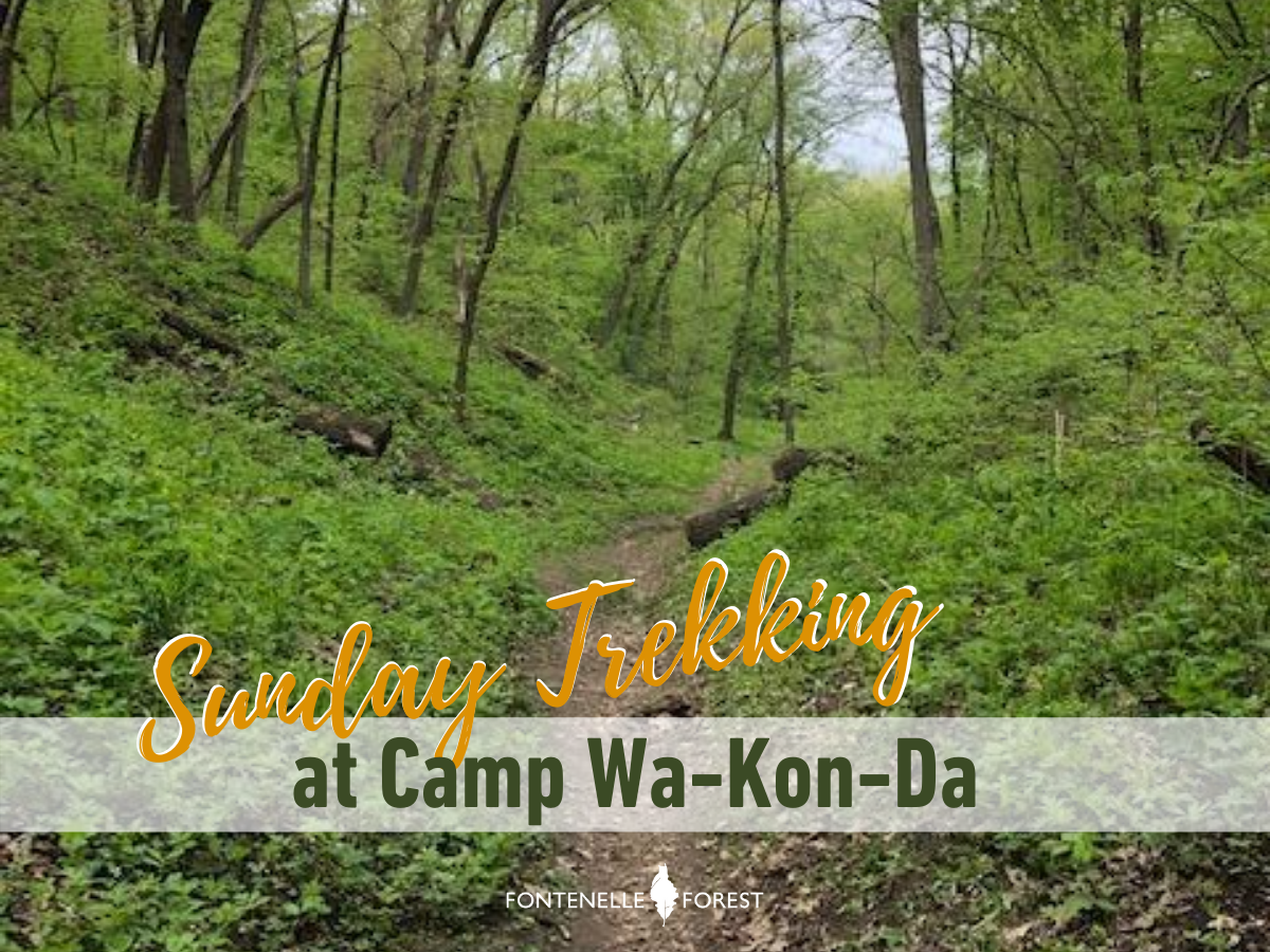 a picture of a path through the forest with the text "Sunday Treckking" in yellow. It also has a white banner with the green text, "at Camp Wa-Kon-Da" with the Fontenelle Forest logo in white.