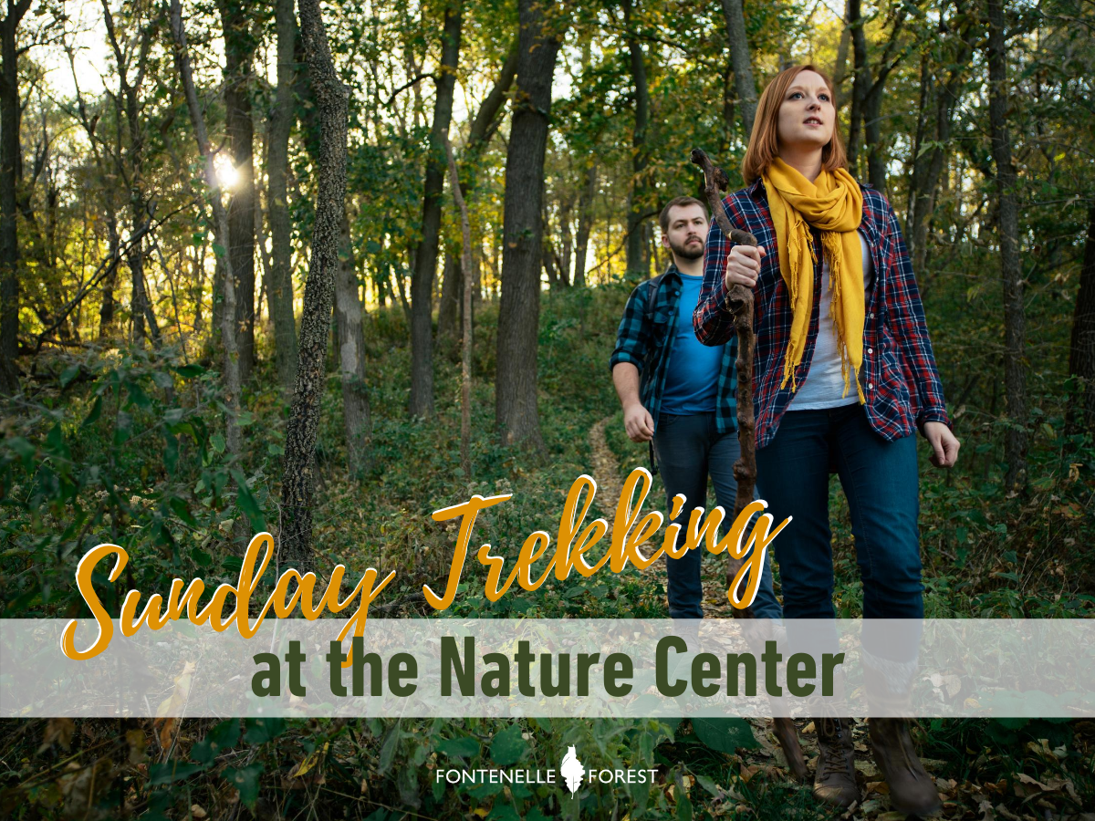 Picture of two people hiking in the words outside with the text "Sunday Treckking" in yellow. It also has a white banner with the green text, "at the Nature Center" with the Fontenelle Forest logo in white.