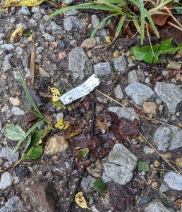 a small piece of litter on the ground