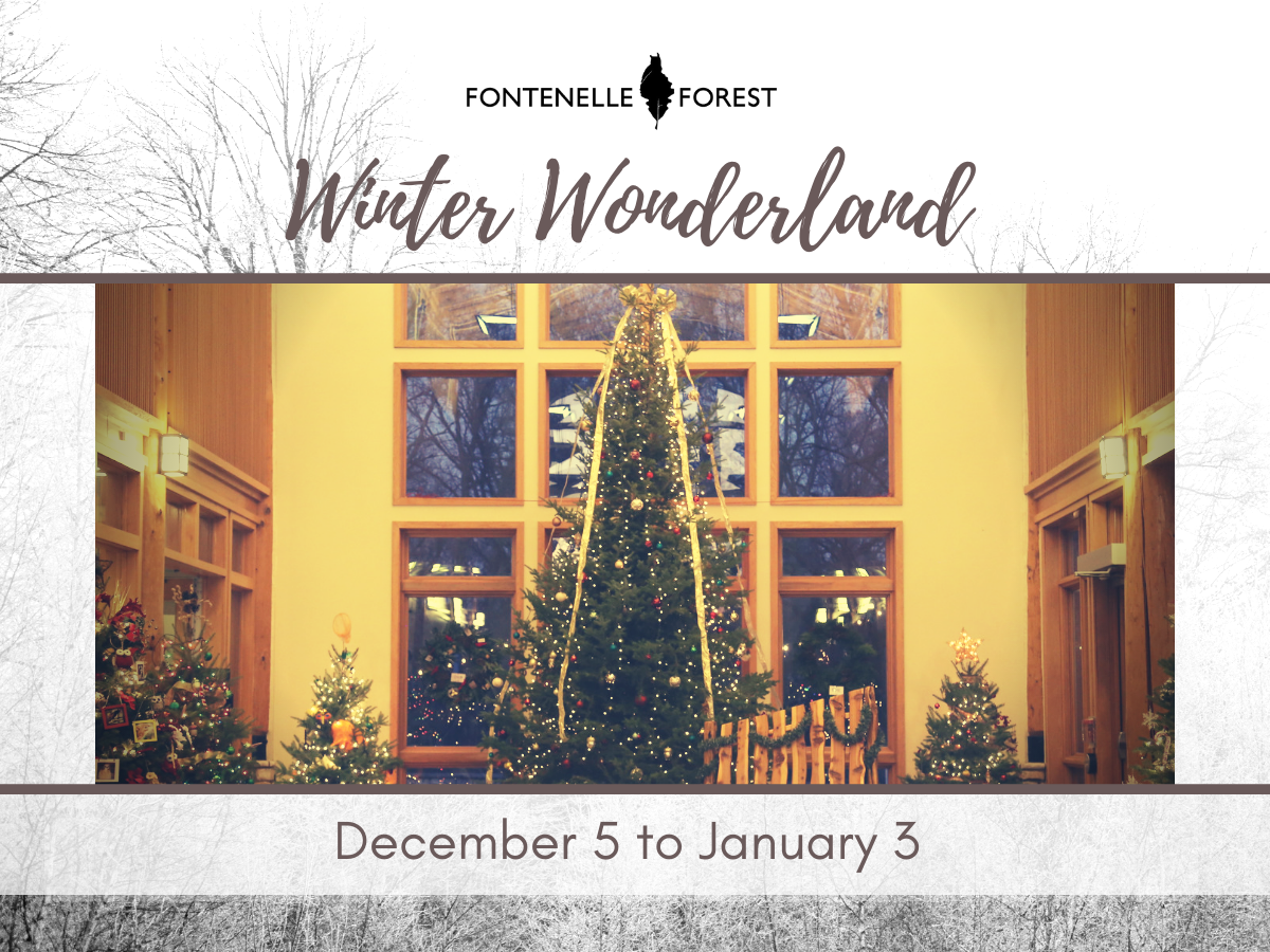 A picture of a Christmas tree by a huge window. It has a white heading that has the Fontenelle Forest logo in black along with the black text, "Winter Wonderland" It has a white banner with the text, "December 5 to January 3"
