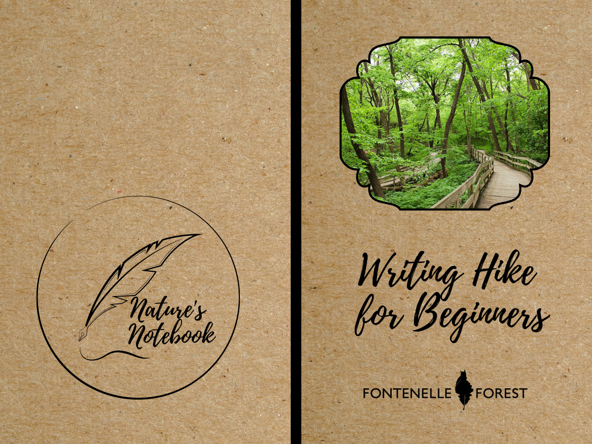 Writing Hike for Beginners