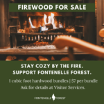 a picture of a rocking chair near a fire. It has the text, "FIREWOOD FOR SALE STAY COZY BY THE FIRE SUPPORT FONTENELLE FOREST 1 cubic foot hardwood bundles I $7 per bundle Ask for details at Visitor Services." and the Fontenelle Forest logo.