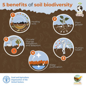 a benefits of biodiversity graphic
