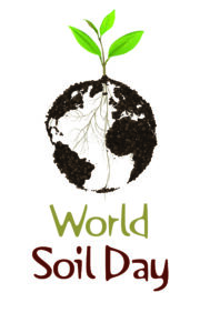 an icon of a plant with an outline of a globe as the root system. the text "World Soil Day" underneath.