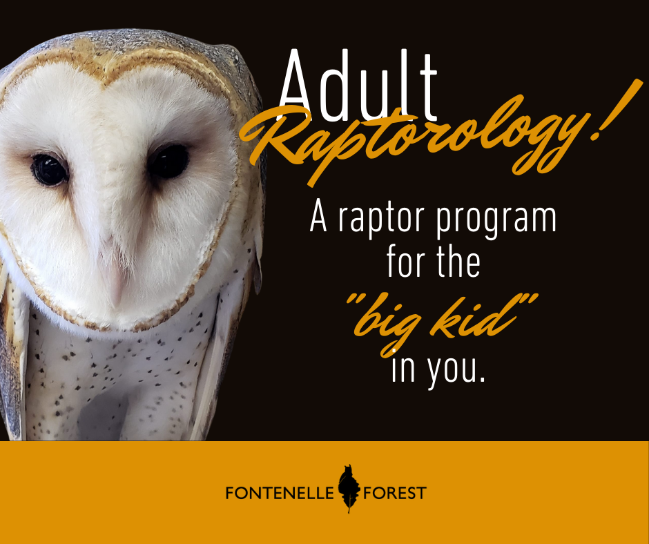 A picture of a bird. It has the text, "Adult Raptorology! A raptor program for the "Big Kid" in you." It has the Fontenelle Forest logo in black text and a yellow banner.