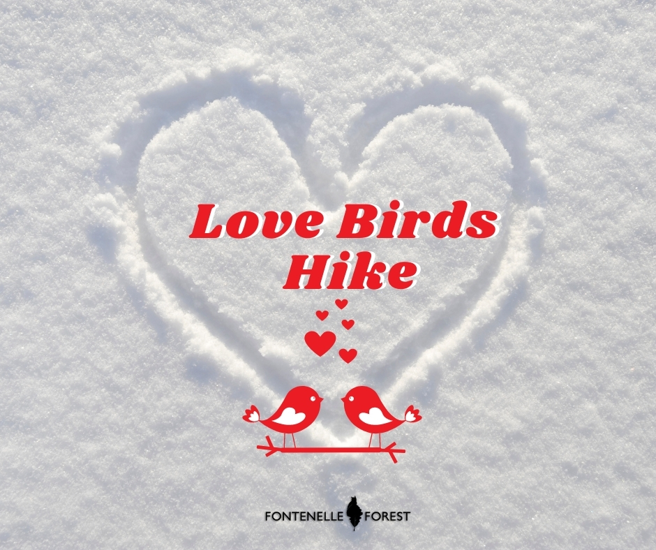 A heart drawn in the snow. It has the text, "Love Birds Hike" and a picture of birds and hearts with the Fontenelle Forest logo.