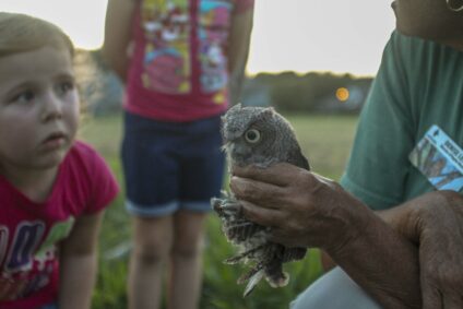 a picture of a women holding a small owl while two small children watch.