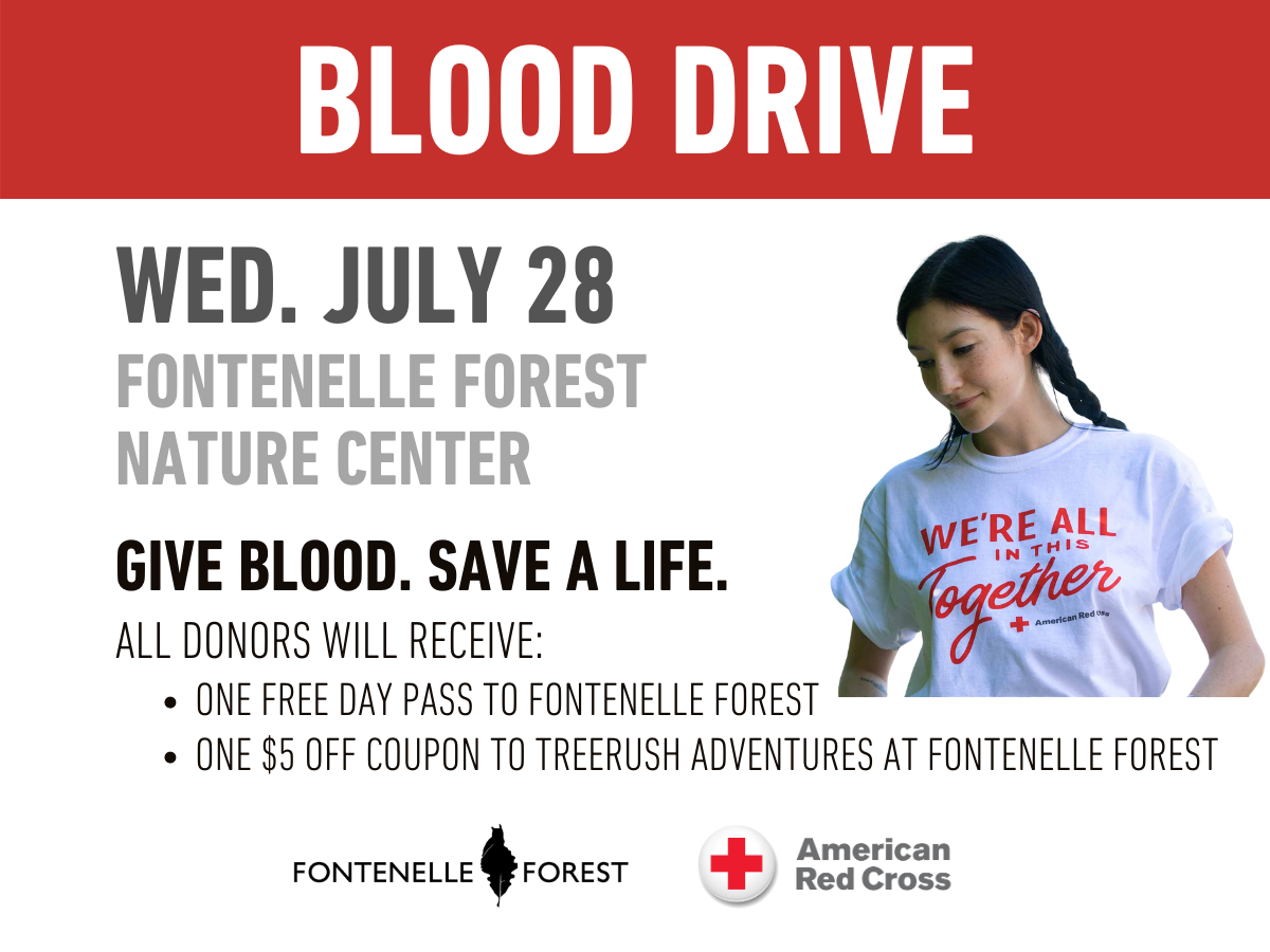 a white background. It has a red header with the white text "BLOOD DRIVE". It has the gray text in the body, "WED. JULY 28 FONTENELLE FOREST N ATURE CENTER", a picture of a girl with a white tshirt in red text, And the black text, "GIVE BLOOD. SAVE A LIFE, ALL DONORS WILL RECEIVE ONE FREE DAY PASS TO FONTENELLE FOREST ONE $5 OFF COUPON TO TREERUSH ADVENTURES AT FONTENELLE FOREST" and the Fontenelle Forest in black, the American Red Cross logo with the label "American Red Cross".