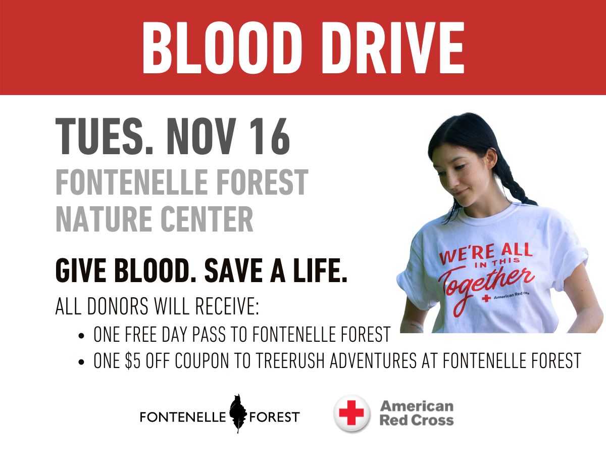 An image of a girl wearing an American Red Cross t-shirt overlayed by the words "Blood Drive.Tues, Nov 16. Fontenelle Forest Nature Center. Give blood. Save a life. All donors will receive: one free day pass to Fontenelle Forest, one $5 off coupon to Treerush Adventures at Fontenelle Forest" and the Fontenelle Forest and American Red Cross logos.