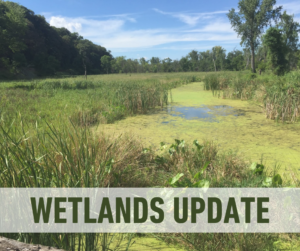 A picture of a wetland with a white ribbon containing the text: "WETLANDS UPDATE" in green.