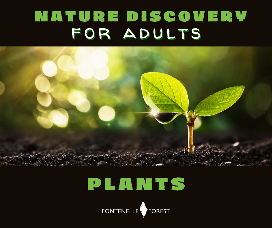 a picture of a plant emerging from the ground. It has a black header with the text, "NATURE DISCOVERY FOR ADULTS" in the footer it has the text, "PLANTS" and the white Fontenelle Forest logo.