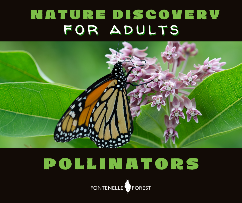 a picture of a butterfly. It has a black header with the text, "NATURE DISCOVERY FOR ADULTS". It has a black footer with the text, "POLLINATORS" and a white Fontenelle Forest logo