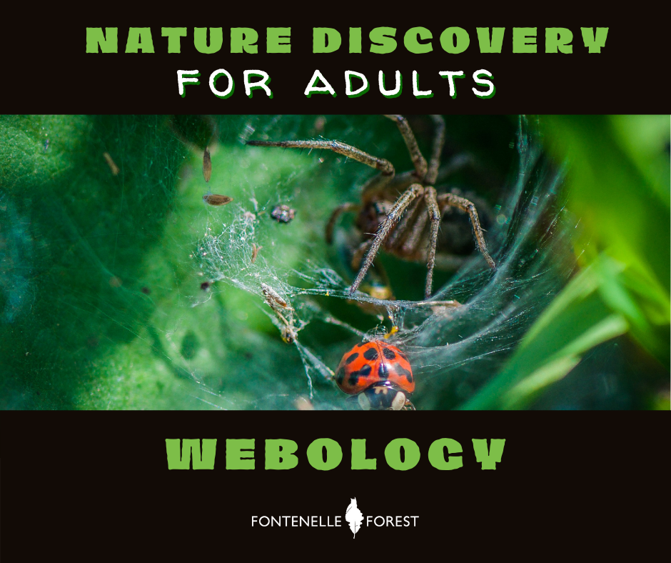 a picture of a spider web with a spider and a ladybug on the web. It has a black header with the text, "NATURE DISCOVERY FOR ADULTS". It has a black footer with the text, "WEBOLOGY" and a white Fontenelle Forest logo