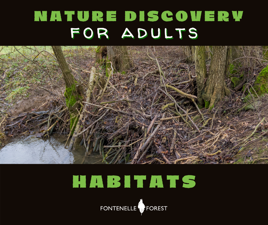 a picture of a pile of sticks. It has a black header with the text, "NATURE DISCOVERY FOR ADULTS". It has a black footer with the text, "HABITATS" and a white Fontenelle Forest logo