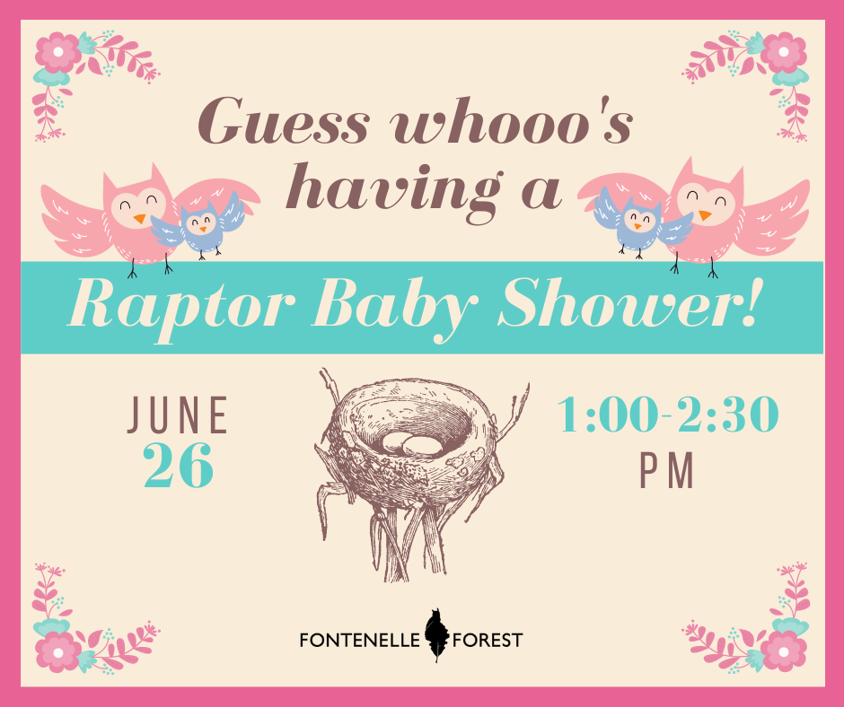 a card with pictures of flowers, owls, a birds nest, the Fontenelle Forest logo and the text, "Guess whooo's having a Raptor Baby Shower! June 26 1:00 - 2:30 PM"