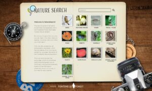 picture of the Nature Search webpage