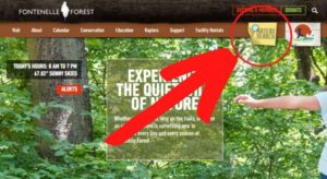 a picture of their website with a red arrow circleing the yellow sticky note icon that says Nature Search.