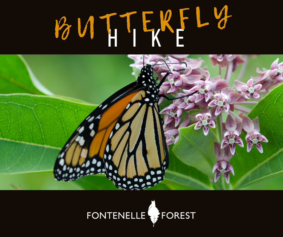 a picture of a butterfly. It has a black header with the text "BUTTERFLY HIKE". It has a black footer with the Fontenelle Forest logo in white.