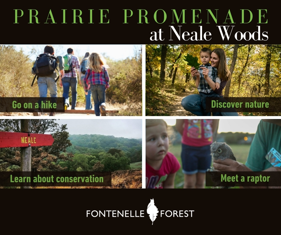 Group of four pictures. With an initial heading of Prairie Promenate at  Neale Woods. The top left picture has a picture of four people with backpacks and the caption "Go on a hike" The top right picture has a picture of a mother holding a small boy and the caption, "Discover Nature". The bottom left picture is of woods with a sign post. The sign post is read. The picture's caption says, "Learn about conservation". The bottom right picture has two little children and what looks like an adult holding a bird. It has the caption, "Meet a raptor".