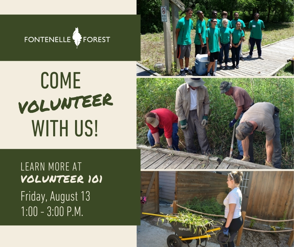 Graphic displaying the Fontenelle Forest logo, the words "Come Volunteer with Us! Learn more at Volunteer 101 Friday, August 13. 1:00 - 3:00P.M." and three images. The first image is of a group of teens wearing matching green volunteer shirts. The second image is of a group of volunteers repairing the Fontenelle Forest boardwalk. The third image is of a volunteer transporting a wheelburrow of grasses and wild brush.