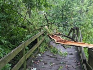 An image of fallen trees damaging the Fontenelle Forest Boardwalk.