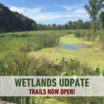 An image of wetlands with a banner displaying the words "Wetlands Update Trails Now Open."