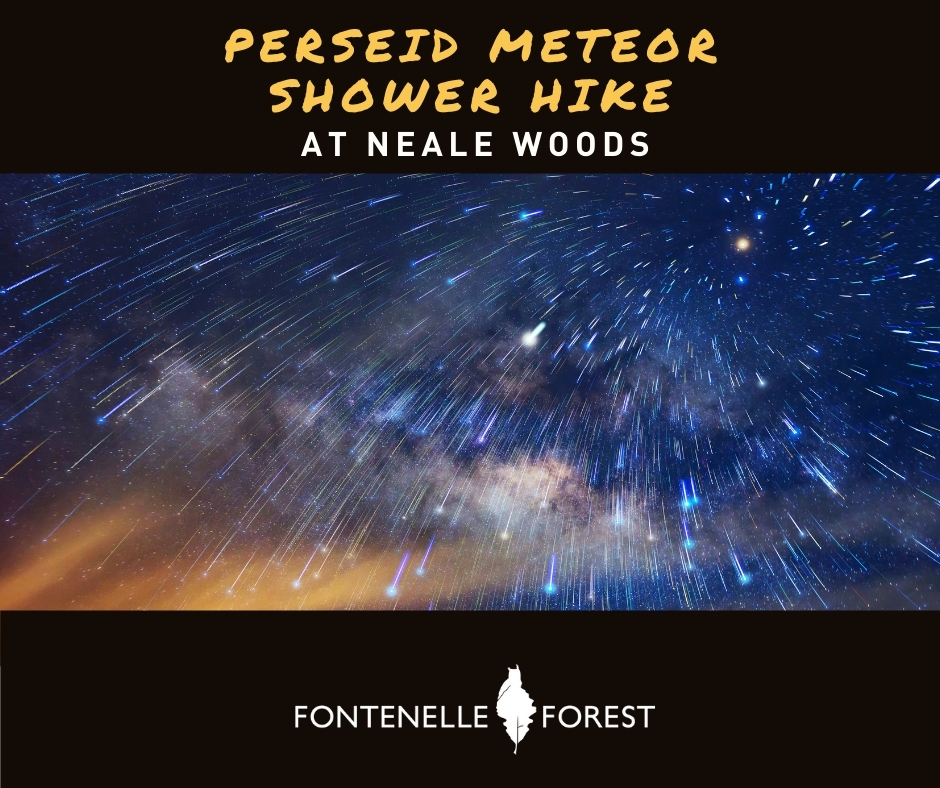 An image of a meteor shower displaying the words "Perseid Meteor Shower Hike at Neale Woods" and the Fontenelle Forest logo.