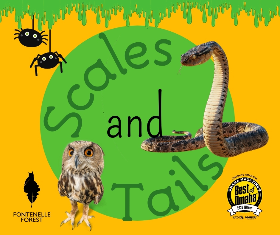 Graphic displaying the words "Scales and Tails" overlayed by images of a snake, an owl, and two spiders. Includes the Fontenelle Forest logo and a Best of Omaha emblem.