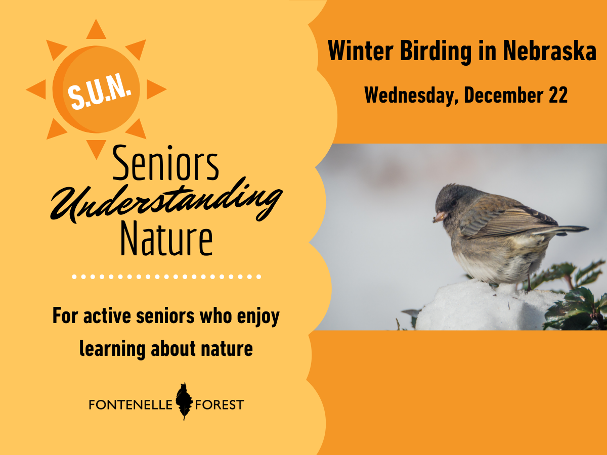 An image of the a bird perched on a branch with the words "Winter Birding in Nebraska Wednesday, December 12. S.U.N. Seniors Understanding Nature. Foar active seniors who enjoy learning about nature" and the Fontenelle Forest logo.