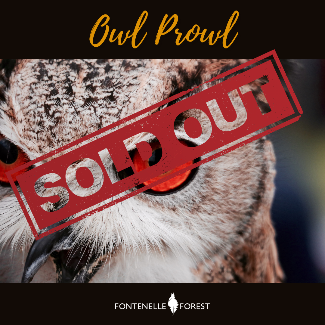 Owl Prowl Sold Out