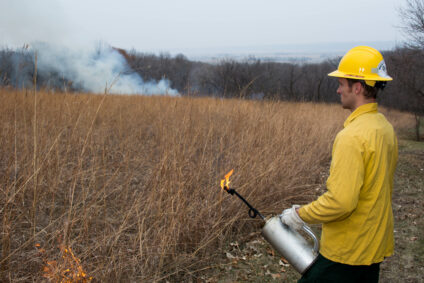 An image of a worker in a yellow suit setting prescribed fires.