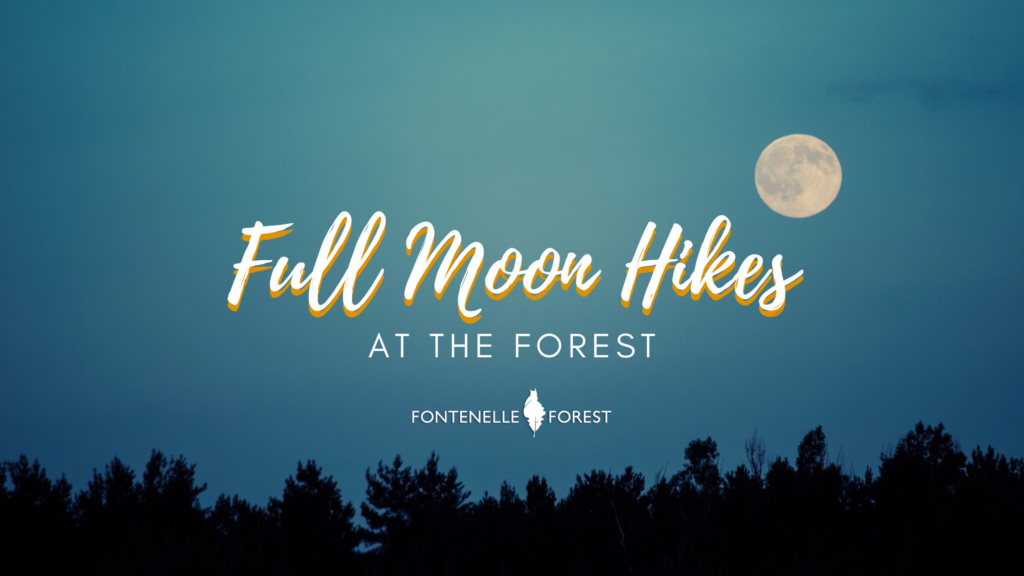 An image of the treetops and the full moon against a night sky overlayed by the words "Full Moon Hikes at the Forest" and the Fontenelle Forest logo.