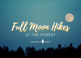 An image of the treetops and the full moon against a night sky overlayed by the words "Full Moon Hikes at the Forest" and the Fontenelle Forest logo.