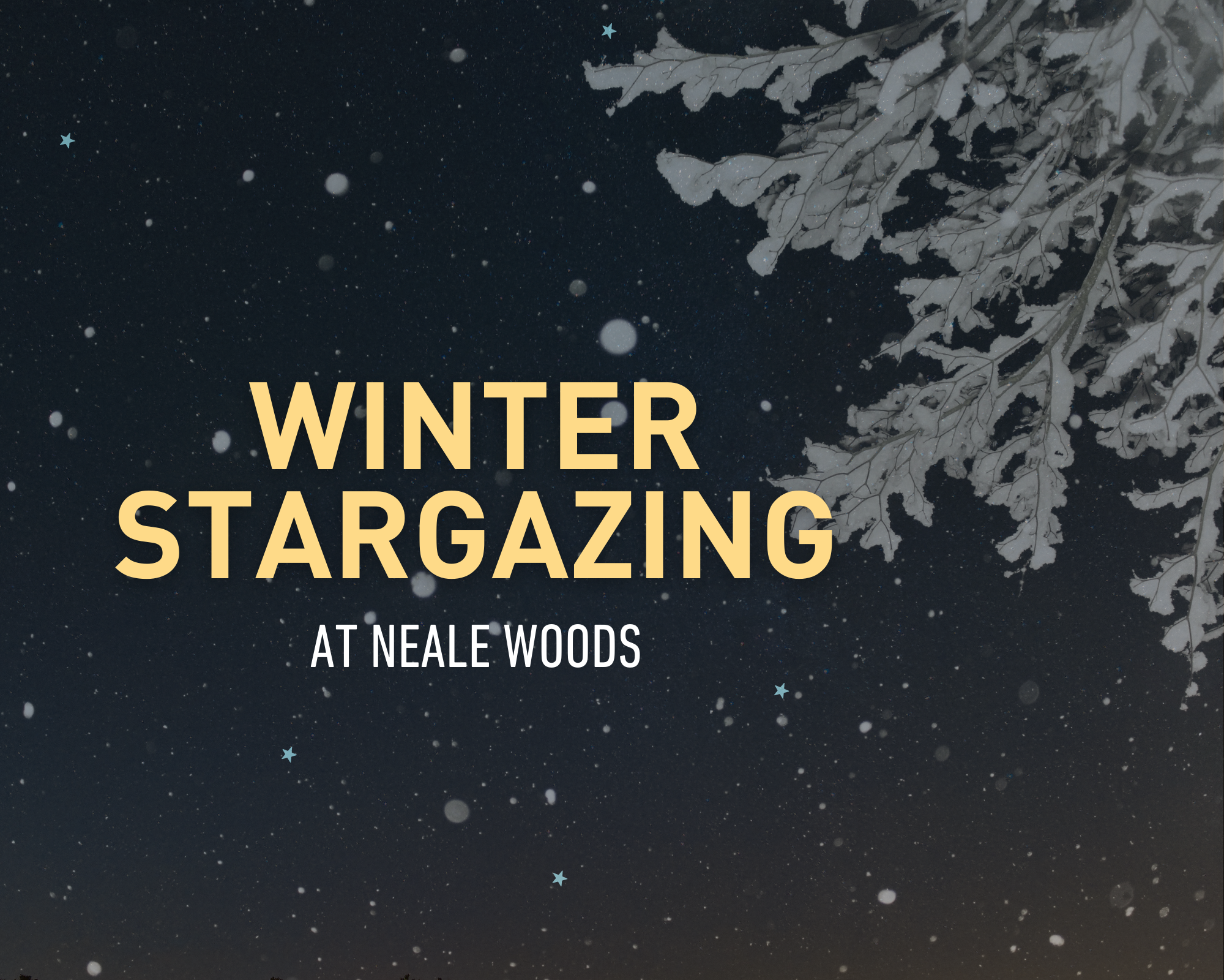 An image of a starry night sky and snowy tree branches overlayed by the words "Winter Stargazing at Neale Woods."