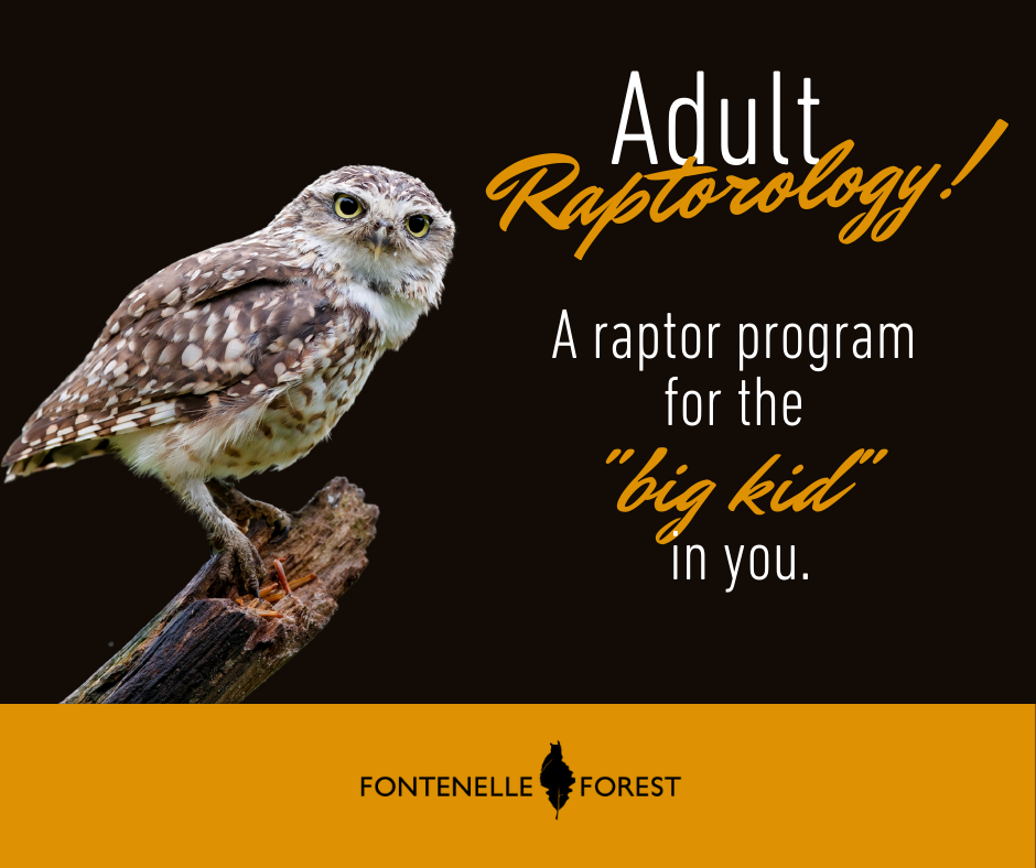 An image of an owl with the words "Adult Raptorology! A raptor program for the 'big kid' in you" and the Fontenelle Forest logo.