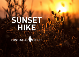 An image of a sunset over a field overlayed with the words "Sunset Hike" and the Fontenelle Forest logo.