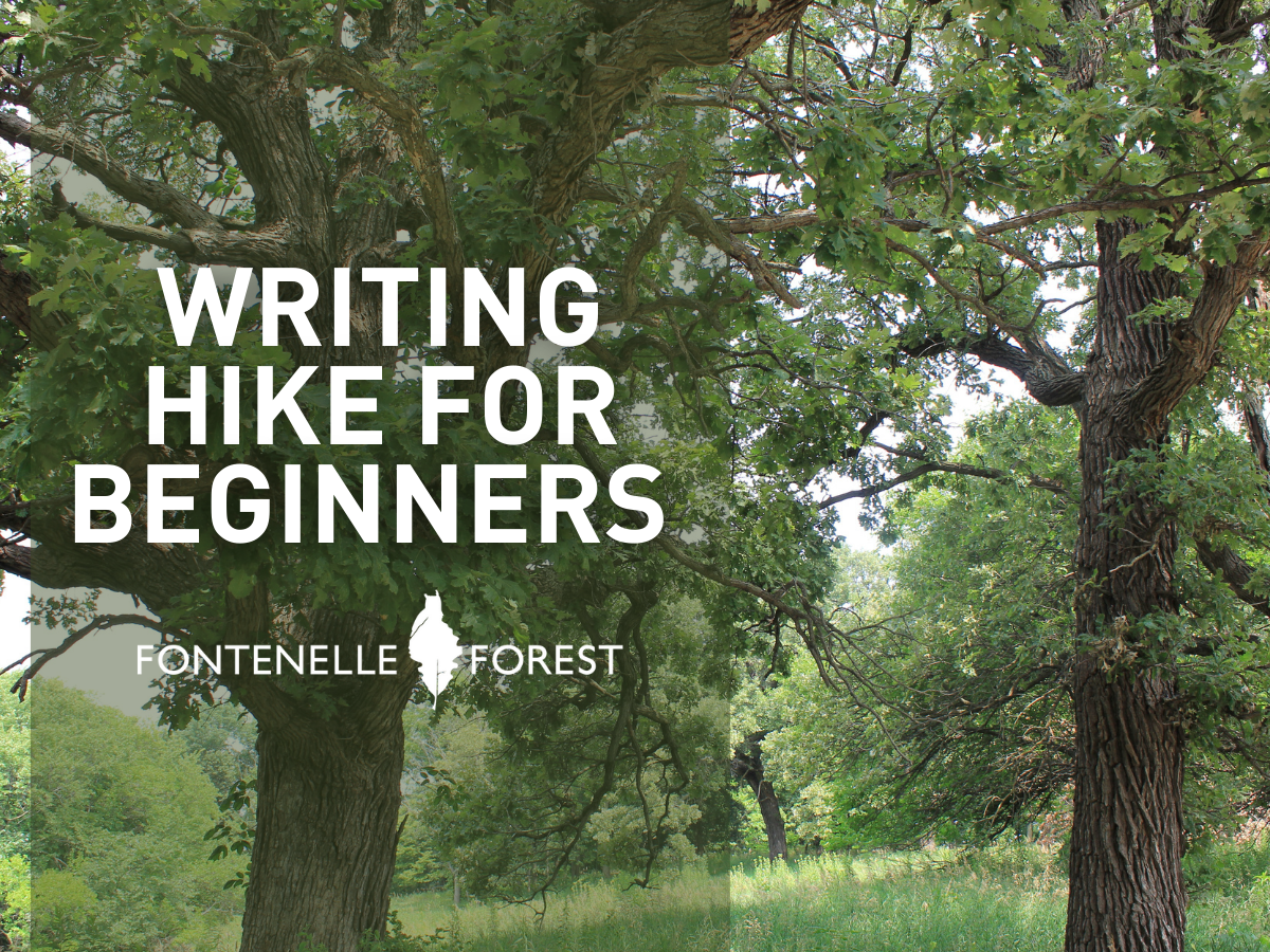 An image of trees overlayed with the words "Writing Hike for Beginners" with the Fontenelle Forest logo.