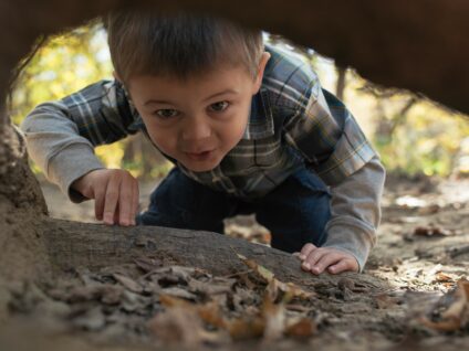 An image of a young boy peering curiously through a tree root.