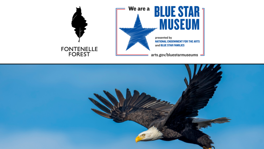 An image of a bald eagle overlayed by the Fontenelle Forest logo, a badge displaying a blue star with the words "We are a Blue Star Museum presented by National Endowment for the Arts and Blue Star Families arts.gov/bluestarmuseums" and "May 21 to September 5."