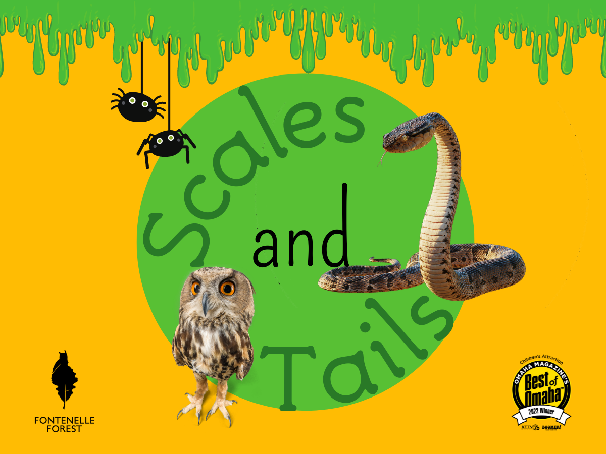 Graphic displaying the words "Scales and Tails," and the Fontenelle Forest logo overlayed by images of a snake, an owl, and two spiders.