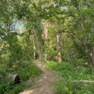 An image of the Fontenelle Forest Wetlands trail.