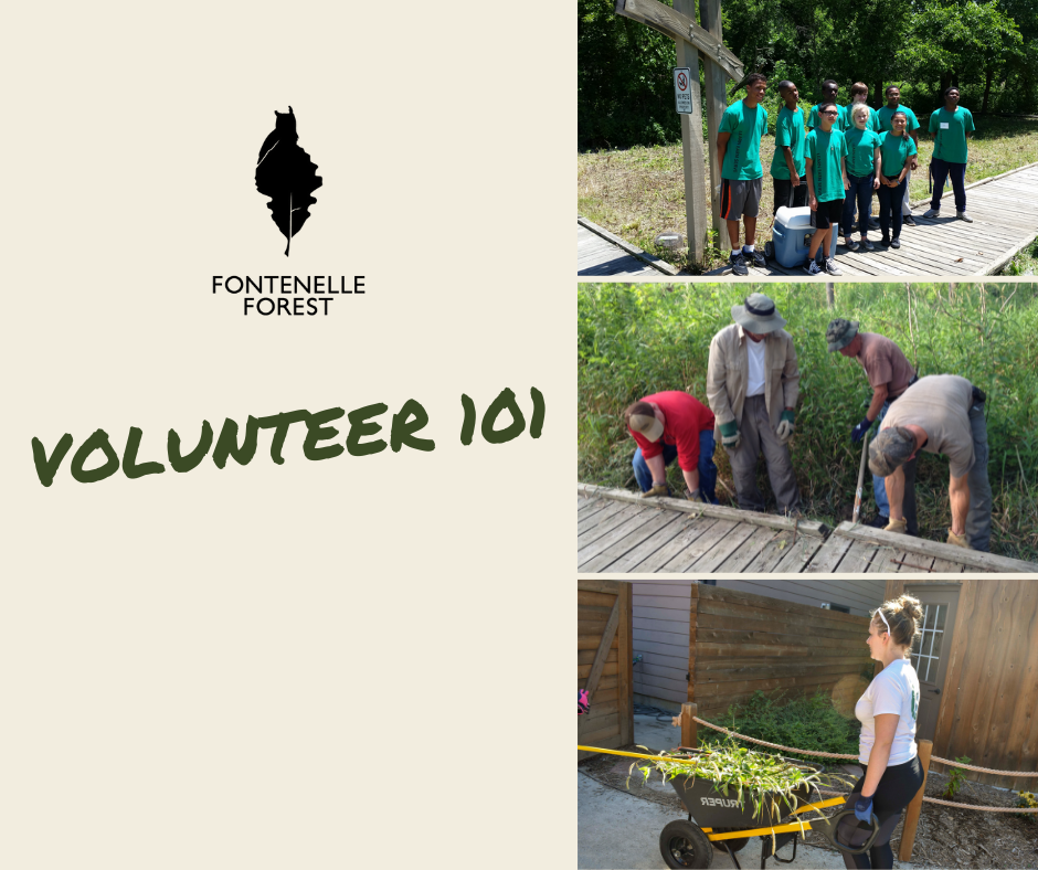 Graphic displaying the Fontenelle Forest logo, the words "Volunteer 101," and three images. The first image is of a group of teens wearing matching green volunteer shirts. The second image is of a group of volunteers repairing the Fontenelle Forest boardwalk. The third image is of a volunteer transporting a wheelburrow of grasses and wild brush.