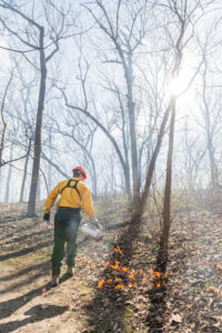 A picture of an employee managing a prescribed burnalong the Fontenelle Forest trails.