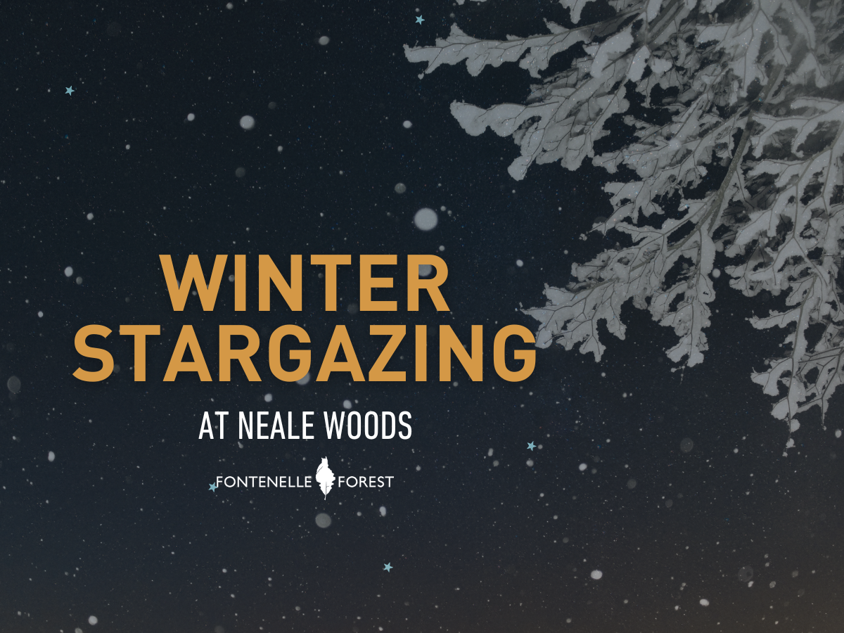 A picture of a snowy tree branch against a starry night sky overlayed by the words "Winter Stargazing at Neale Woods" and the Fontenelle Forest logo.