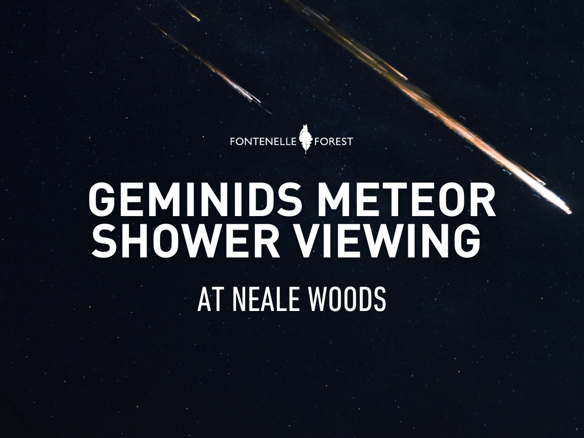 An image of meteors overlayed by the Fontenelle Forest logo and the words "Geminids Meteor Shower Viewing at Neale Woods."