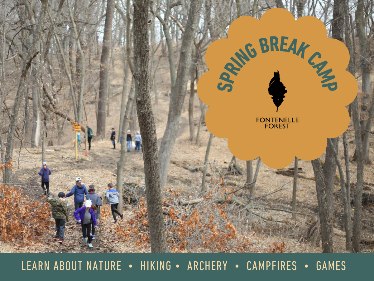 An image of kids playing on the trails, surrounded by trees, and overlayed by a scalloped orange circle containing the words "Spring Break Camp" and the Fontenelle Forest logo. A footer contains the words "Learn About Nature," "Hiking," "Archery," "Campfires," "Games."