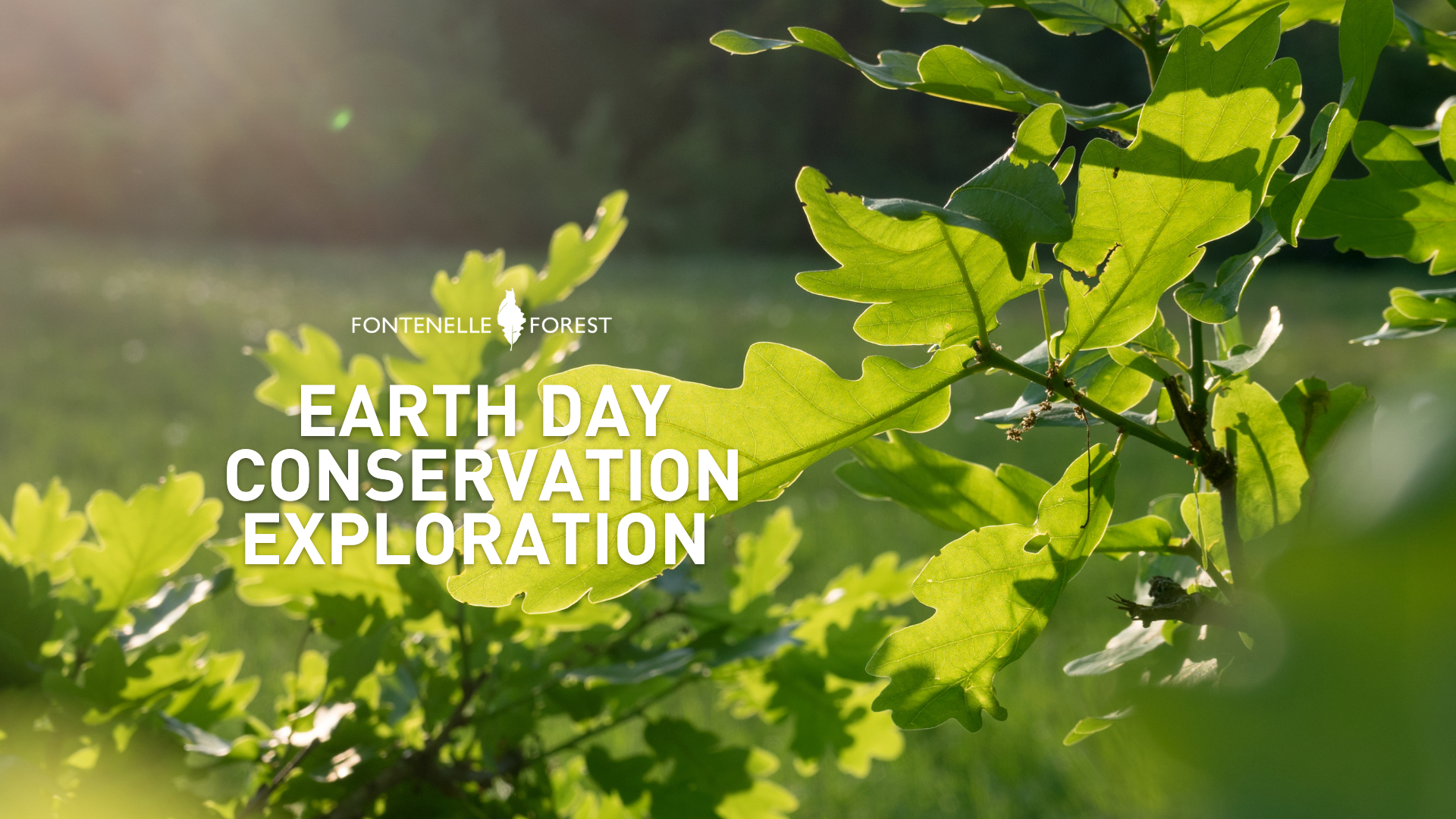 A picture of green leafy branches overlayed with the Fontenelle Forest logo and the words "Earth Day Conservation Exploration."