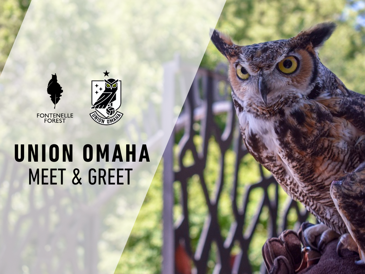A picture of a Great Horned Owl with the Fontenelle Forest logo, Union Omaha logo and the words "Union Omaha Meet and Greet"