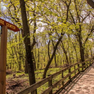 The Riverview Board at Fontenelle Forest with trees budding